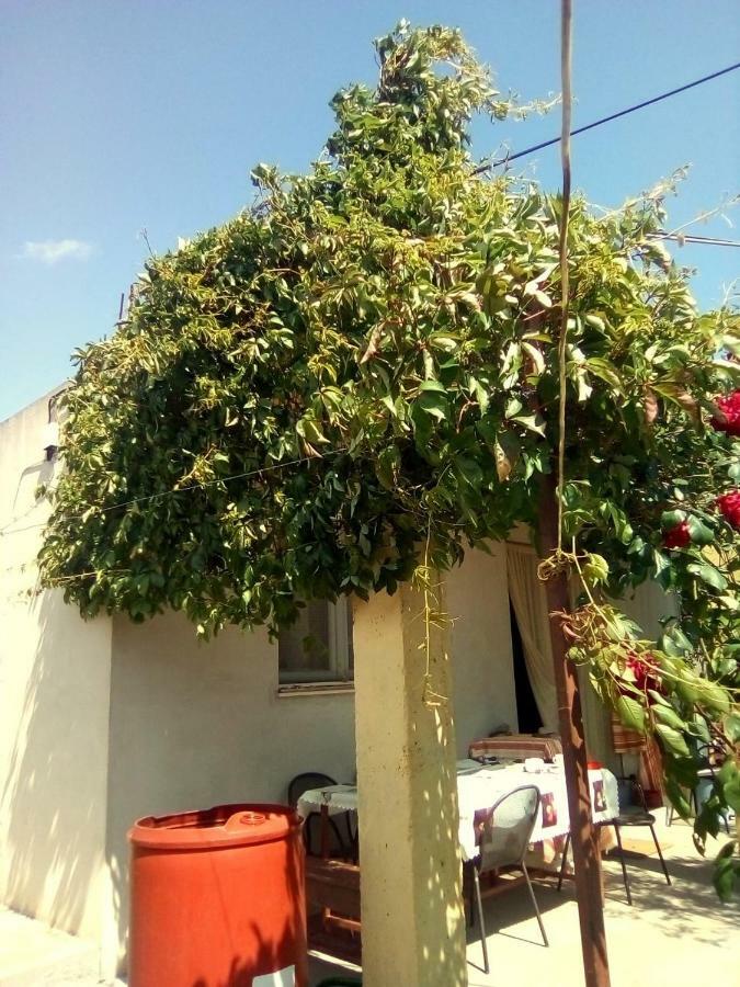 Holiday Home Zeljana Каприе Екстериор снимка